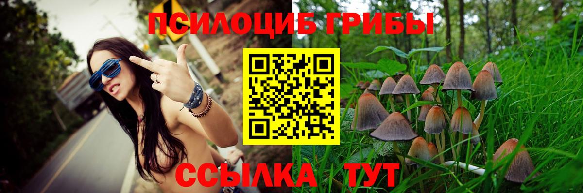 Хасавюрт  хочу   Псилоцибиновые грибы Magic Shrooms  Вход с VPN  Галлюциногенные грибы мухоморы 